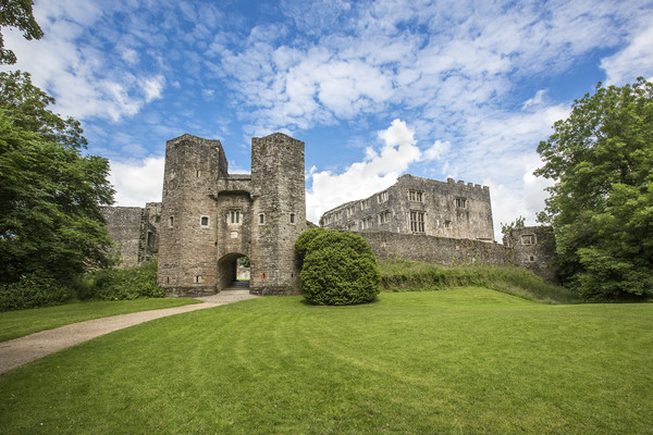 Berry Pomeroy Castle Picture Board by David Hare