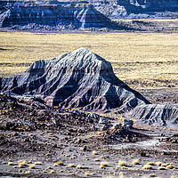 Buy canvas prints of Painted Desert by David Hare