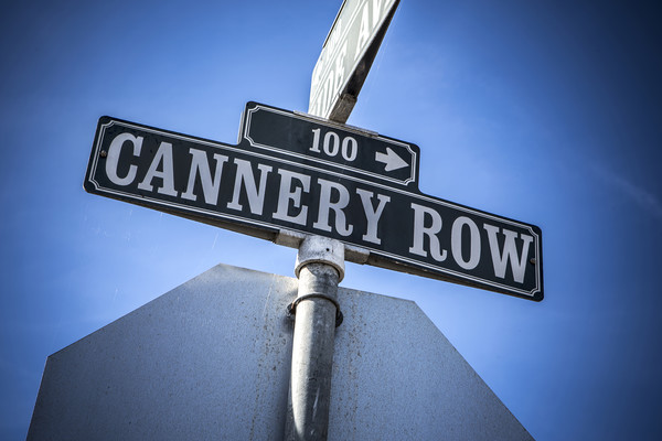 Cannery Row Picture Board by David Hare