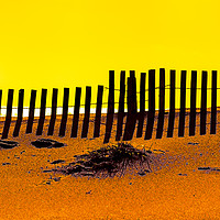 Buy canvas prints of Beach Fence by David Hare