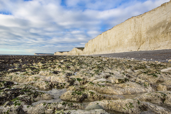 Birling Gap Picture Board by David Hare