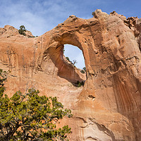 Buy canvas prints of Window Rock by David Hare
