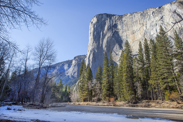 Yosemite, El Capitan Picture Board by David Hare
