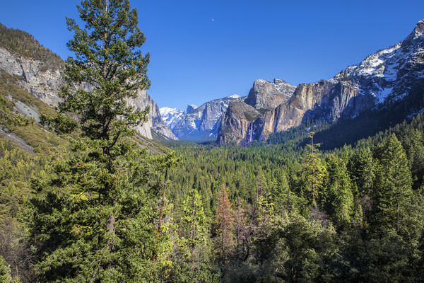 Yosemite Valley Picture Board by David Hare