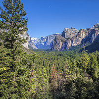 Buy canvas prints of Yosemite Valley by David Hare