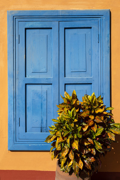 Blue Shutters Picture Board by David Hare