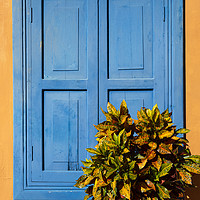 Buy canvas prints of Blue Shutters by David Hare