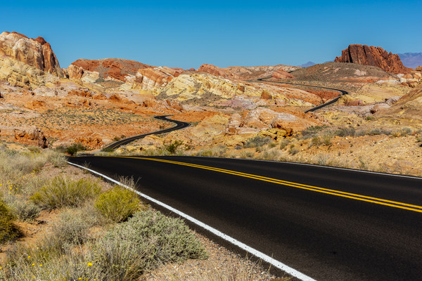 Desert Roads Picture Board by David Hare