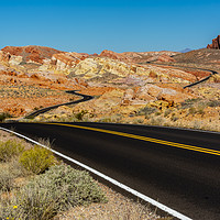 Buy canvas prints of Desert Roads by David Hare