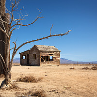 Buy canvas prints of Abandoned Shack, Apple Valley. by David Hare