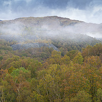 Buy canvas prints of Autumnal Mists by David Hare