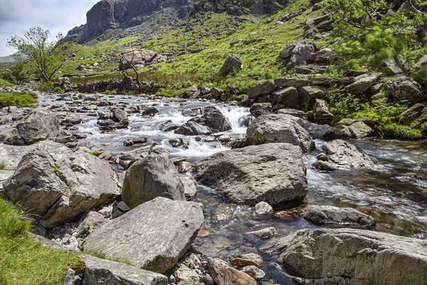 Snowdonian Stream Picture Board by David Hare