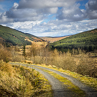 Buy canvas prints of Highland Track by David Hare