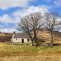 Buy canvas prints of Highland cottage with trees by David Hare
