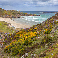 Buy canvas prints of Coastal Bay by David Hare