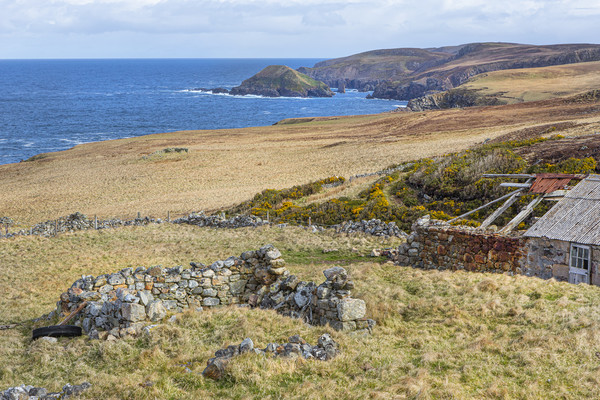 Highland croft and coast Picture Board by David Hare