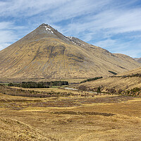 Buy canvas prints of Highland Vale by David Hare