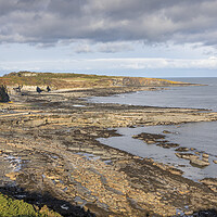 Buy canvas prints of Northumberland Coast by David Hare