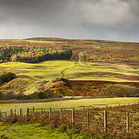 Buy canvas prints of Harthorpe Valley Hills by David Hare