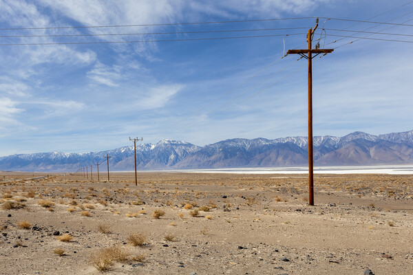 Lone Pine Deserts Picture Board by David Hare