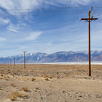 Buy canvas prints of Lone Pine Deserts by David Hare