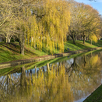 Buy canvas prints of Canal Reflections by David Hare