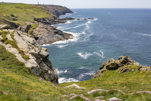 The Cornish Coast Picture Board by David Hare