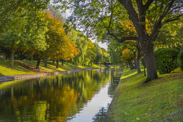 The Royal Military Canal Picture Board by David Hare