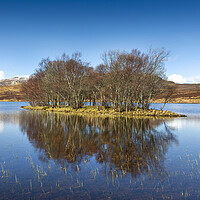 Buy canvas prints of Loch Island by David Hare