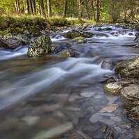 Buy canvas prints of Cumbrian Stream by David Hare