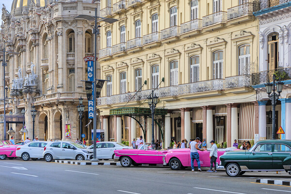 Havana Taxis Picture Board by David Hare