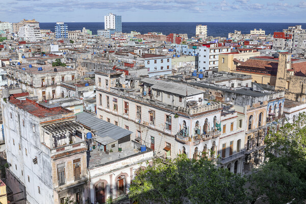 Rooftops of Havana Picture Board by David Hare