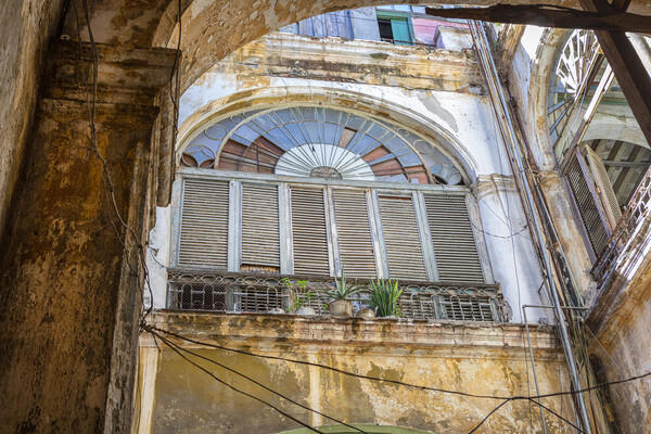  Windows of Havana Picture Board by David Hare