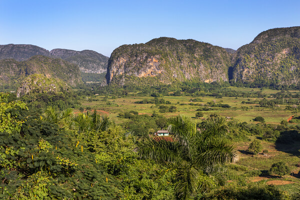 Vinales Valley Picture Board by David Hare