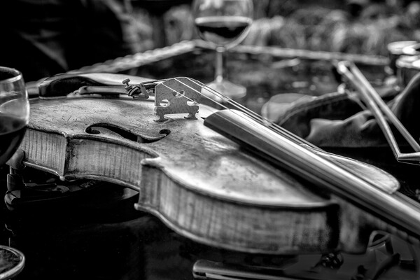 Mono Violin Picture Board by David Hare