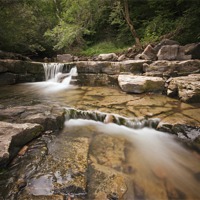 Buy canvas prints of A Miners Walk, Northumberland by Sarah Partridge