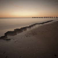 Buy canvas prints of Twisted Beauty, Happisburgh by Sarah Partridge