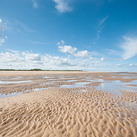 Buy canvas prints of Far as the eye can see, Holkham to Burnham Overy by Sarah Partridge