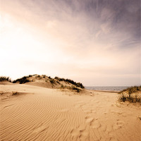 Buy canvas prints of Race you to the sea! Holkham, Norfolk by Sarah Partridge