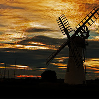 Buy canvas prints of Thurne Dyke Mill by Roy Scrivener