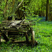 Buy canvas prints of Foxley decay by Roy Scrivener