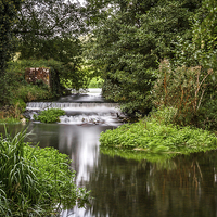 Buy canvas prints of  Swanton Morley River Norfolk by Gypsyofthesky Photography