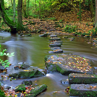 Buy canvas prints of Autumn River Stones by Phil Swindin