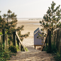Buy canvas prints of Beach hut and path to beach at sunrise. Wells-next-the-sea, Norf by Liam Grant