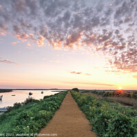 Buy canvas prints of Boats and footpath at sunrise. Burnham Overy Staithe, Norfolk, U by Liam Grant