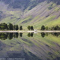 Buy canvas prints of Trees and mountainside reflected in the surface of Buttermere la by Liam Grant