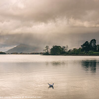 Buy canvas prints of Evening rainclouds and distant rain over Skiddaw and Derwent Wat by Liam Grant