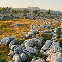 Buy canvas prints of Southerscales Scars limestone pavement by Liam Grant