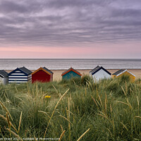 Buy canvas prints of UK, Suffolk, Southwold, colourful beach huts in the dunes at sunrise by Liam Grant