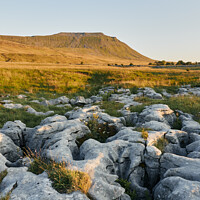 Buy canvas prints of UK, Yorkshire, Ingleborough with limestone pavement in the foreground. by Liam Grant